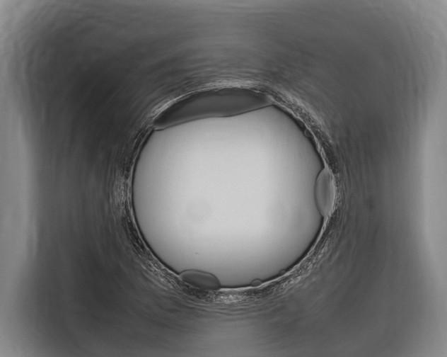 X0000116881169200912220938
