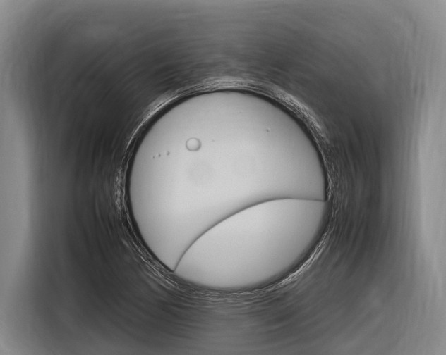 X0000116881170200912220938