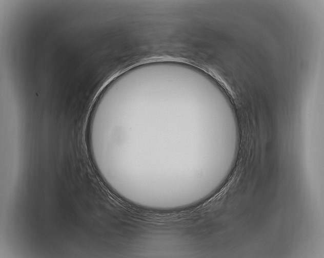 X0000116881173200912220938