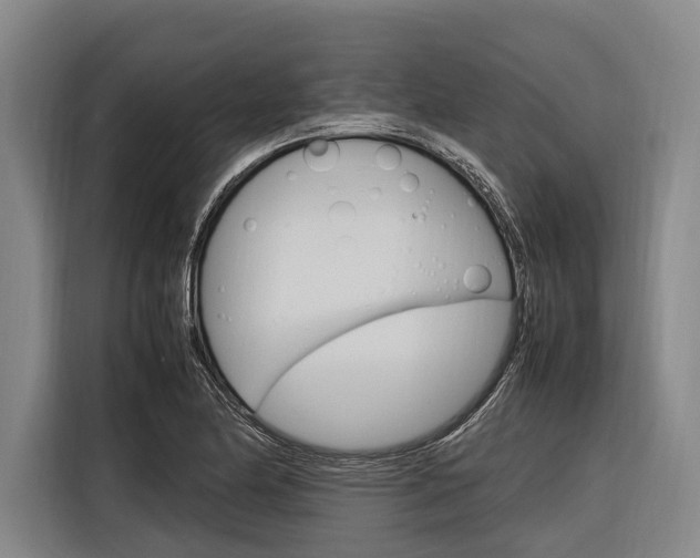 X0000116881174200912220938