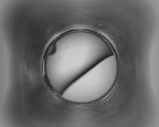 X0000116881175200912220938