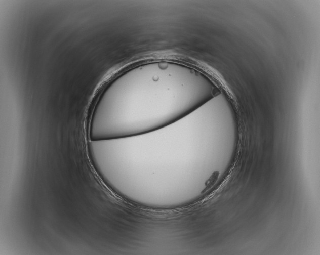 X0000116881176200912220938