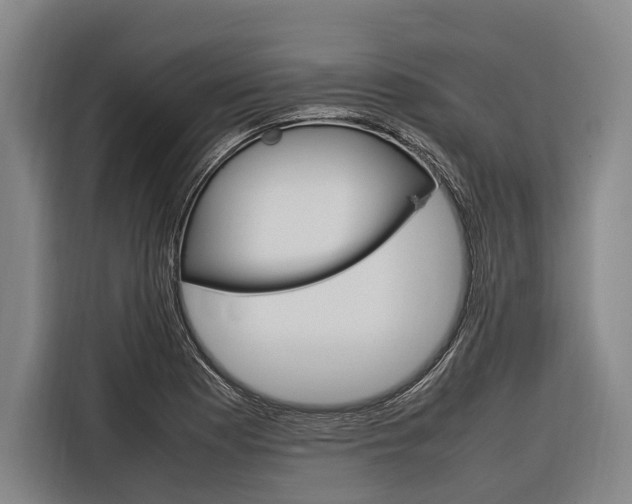 X0000116881177200912220938
