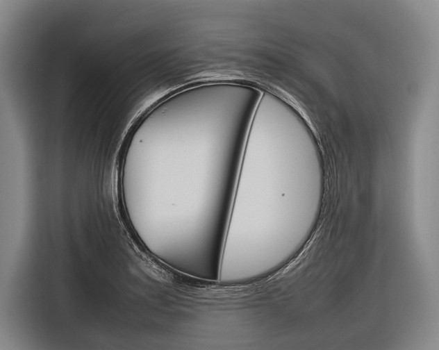 X0000116881179200912220938