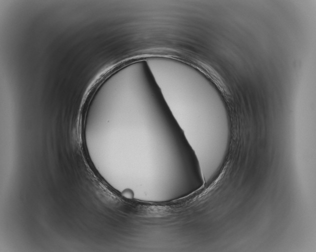 X0000116881180200912220938