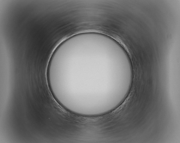 X0000116881181200912220938