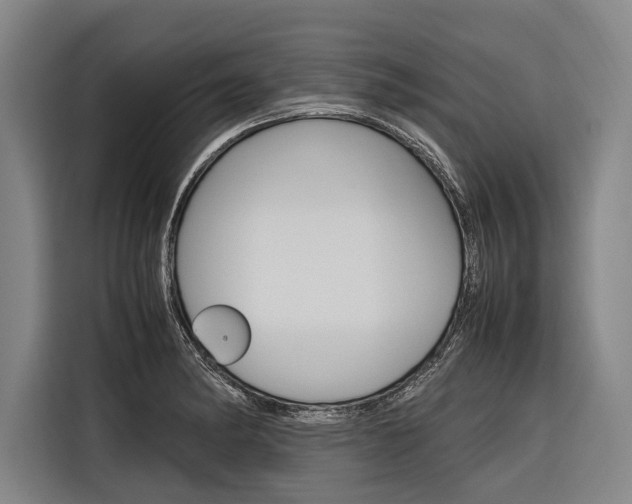 X0000116881182200912220938