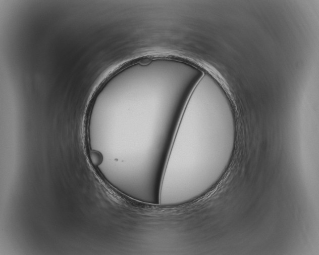 X0000116881183200912220938
