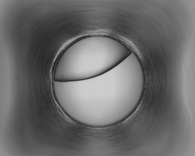 X0000116881184200912220938