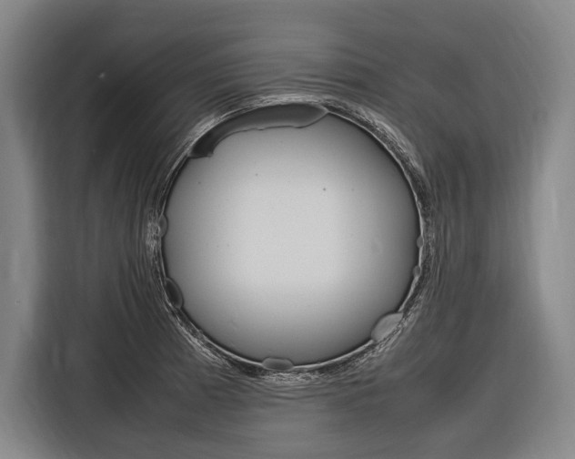 X0000116881185200912220938