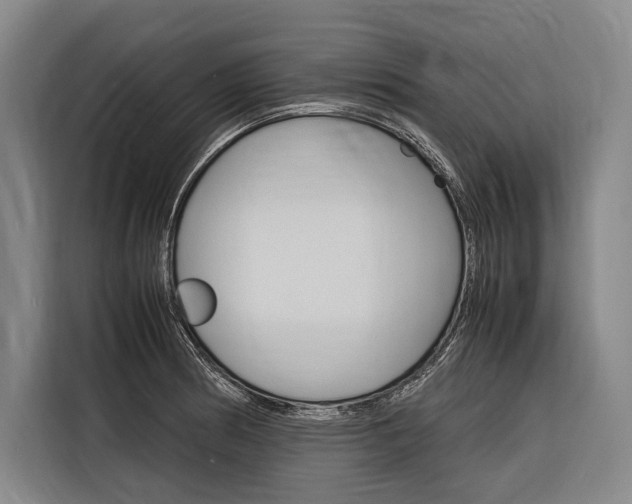 X0000116881186200912220938