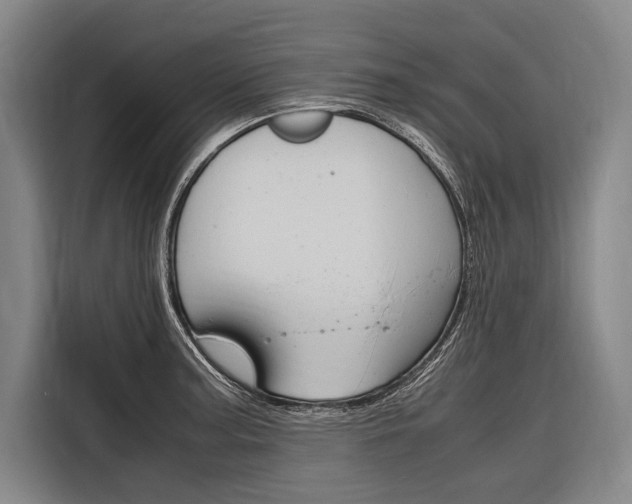 X0000116881187200912220938