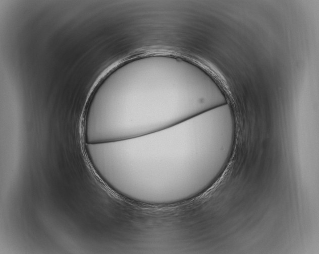 X0000116881190200912220938