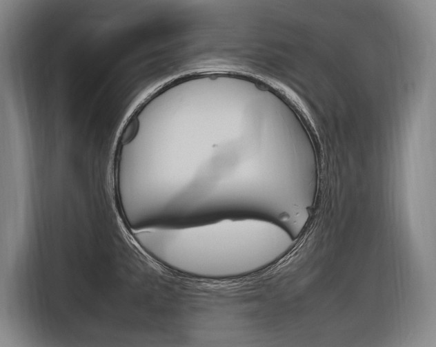 X0000116881191200912220938