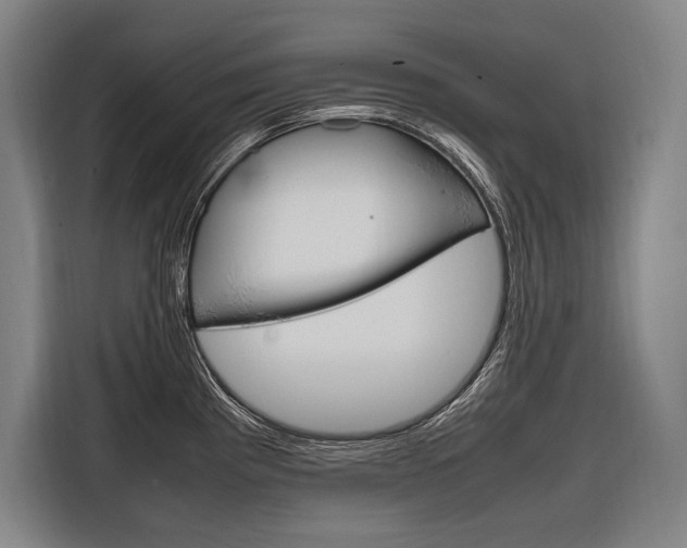 X0000116881193200912220938