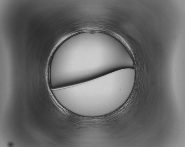 X0000116881195200912220938