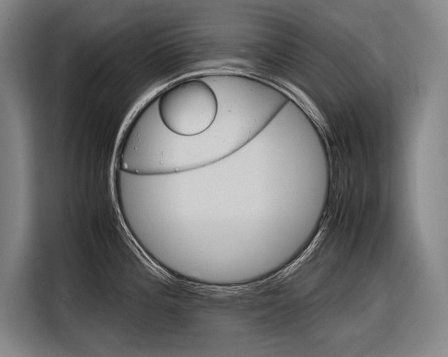 X0000116881196200912220938