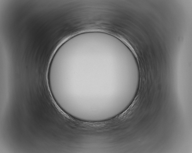 X0000116881197200912220938