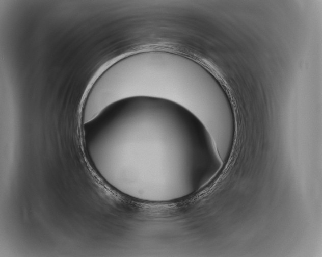 X0000116881200200912220938