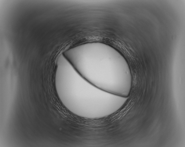 X0000116881201200912220937