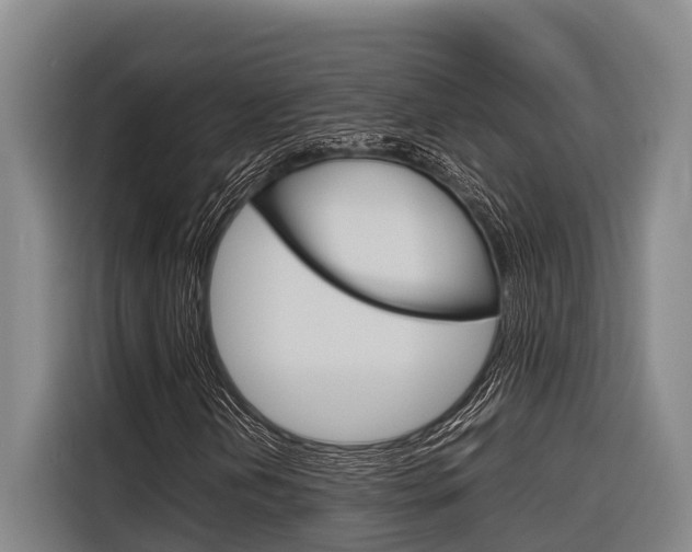 X0000116881202200912220937