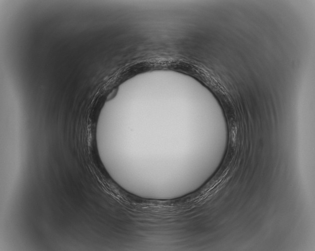 X0000116881204200912220937