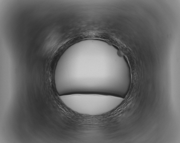 X0000116881206200912220938