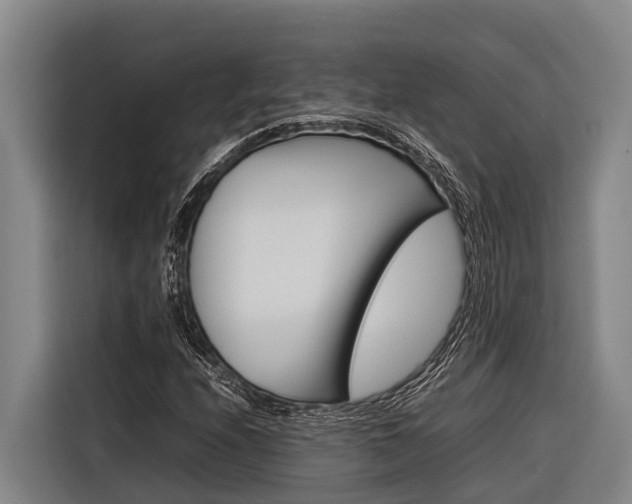 X0000116881208200912220938