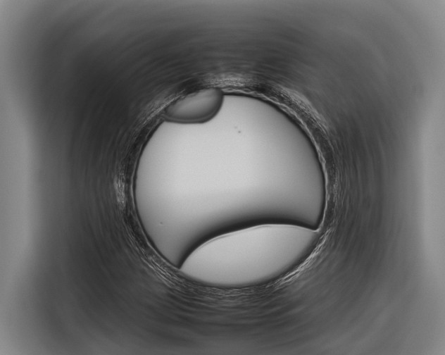 X0000116881209200912220938