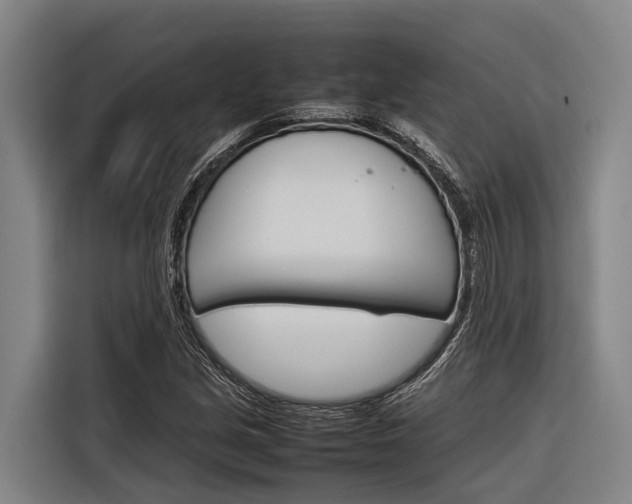 X0000116881213200912220938