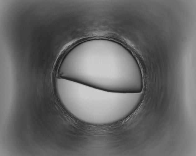 X0000116881214200912220938