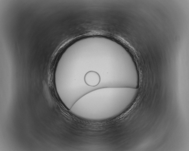 X0000116881215200912220938