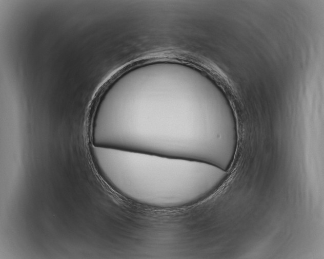 X0000116881216200912220938