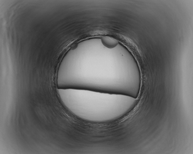 X0000116881217200912220938