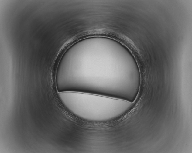X0000116881218200912220938