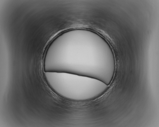 X0000116881220200912220938