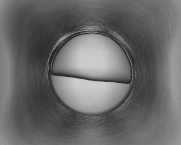 X0000116881222200912220938