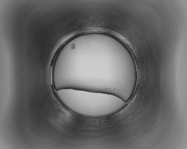 X0000116881223200912220938