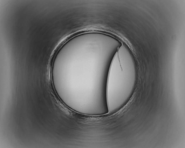 X0000116881224200912220938