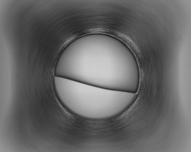X0000116881225200912220938