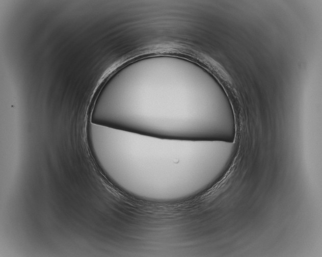 X0000116881226200912220938