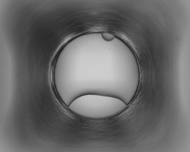 X0000116881227200912220938