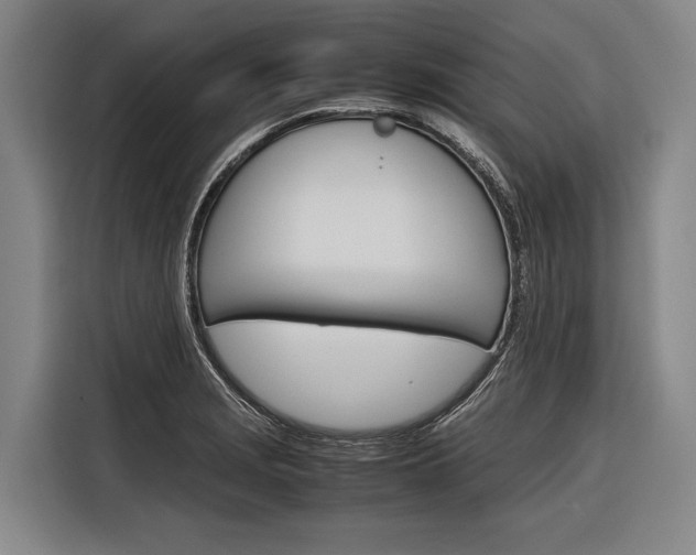X0000116881229200912220938