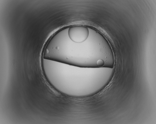 X0000116881230200912220938