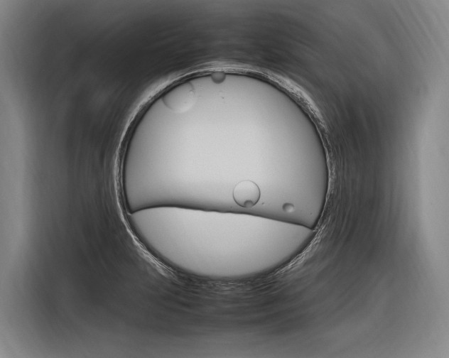 X0000116881231200912220938