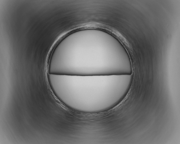 X0000116881232200912220938
