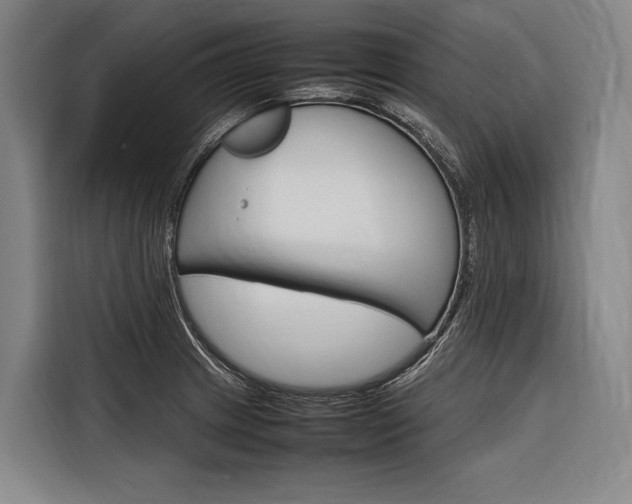 X0000116881233200912220938
