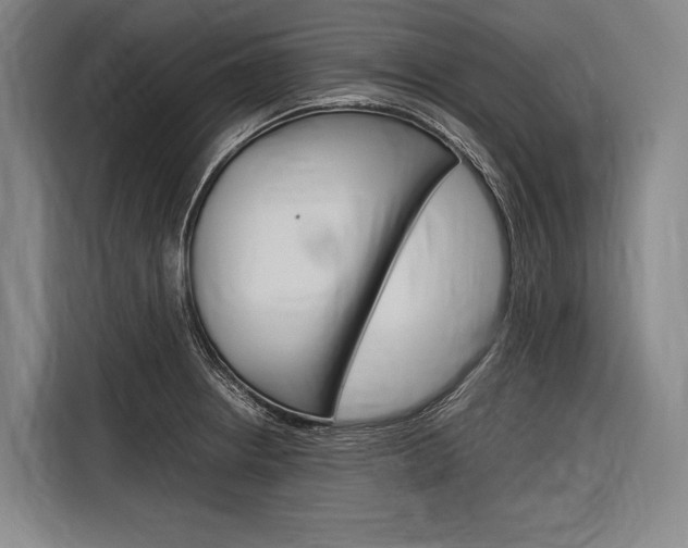 X0000116881234200912220938