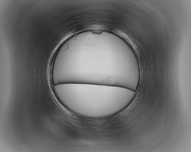 X0000116881235200912220938
