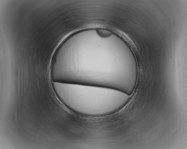 X0000116881236200912220938